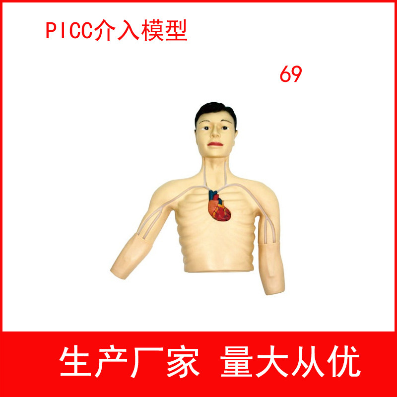 PICC介入训练模型 骨性结构心静脉外周穿刺示教练习教学模拟人