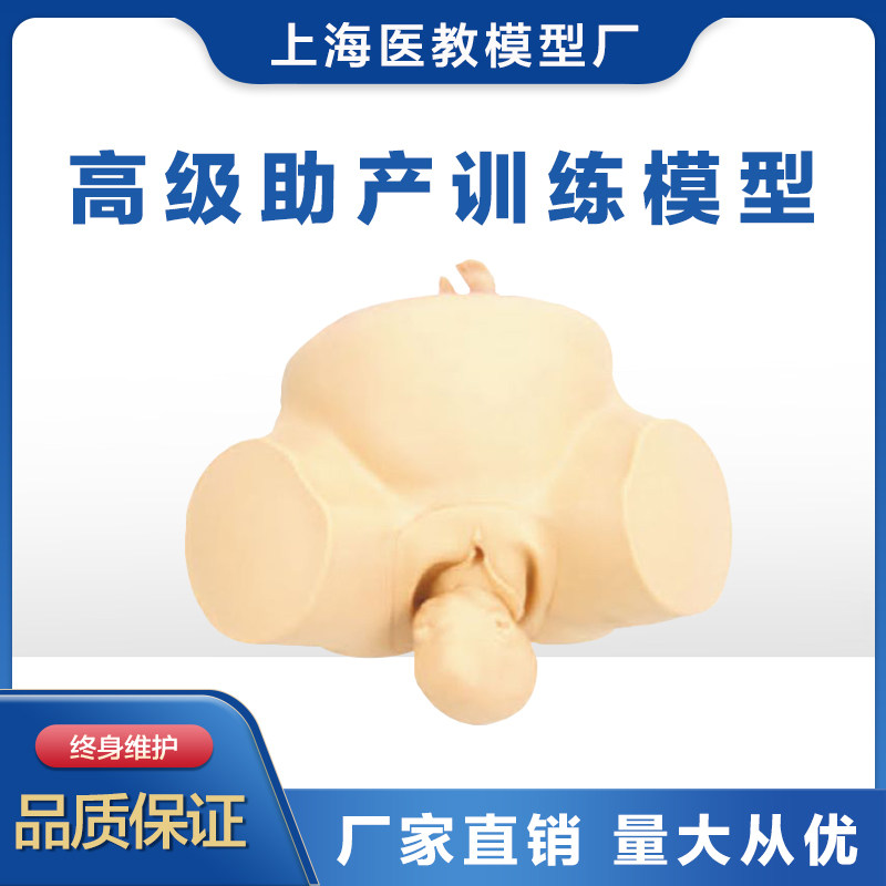 助产训练模型人体模型 分娩助产练习模型 胎儿模型 妇产科训练