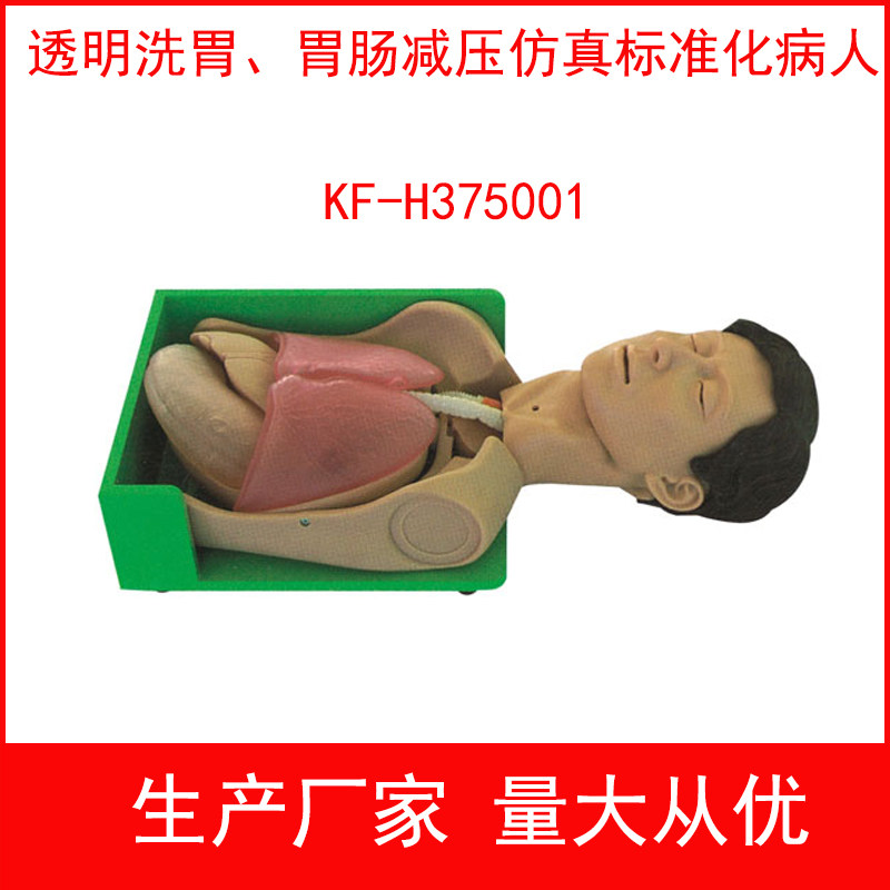 透明洗胃、胃肠减压仿真标准化病人 透明洗胃模型护理技能训练