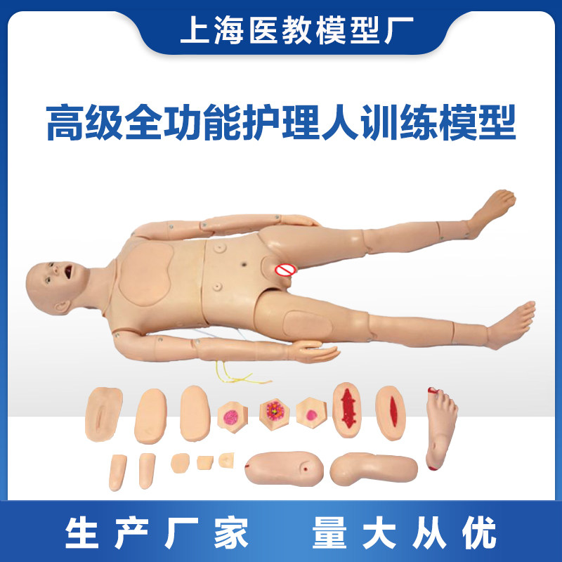 高级全功能护理人训练模型男性护理训练模拟人护士护理员培训模型