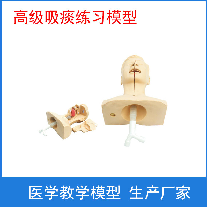 高级吸痰练习模型吸痰训练模型模拟吸痰训练模型吸痰插管训练模型