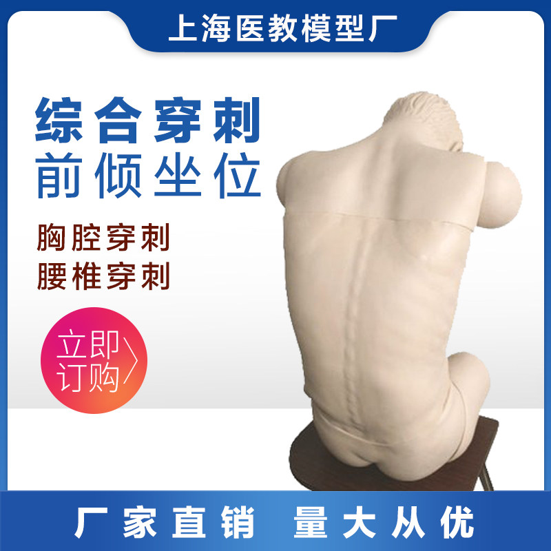 高级综合穿刺术技能训练模拟人 前倾坐位 胸腔穿刺 腰椎穿刺模型