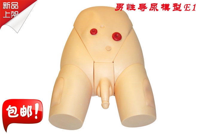 男性整体导尿模型 男性导尿教学模型 导尿插管护理模型
