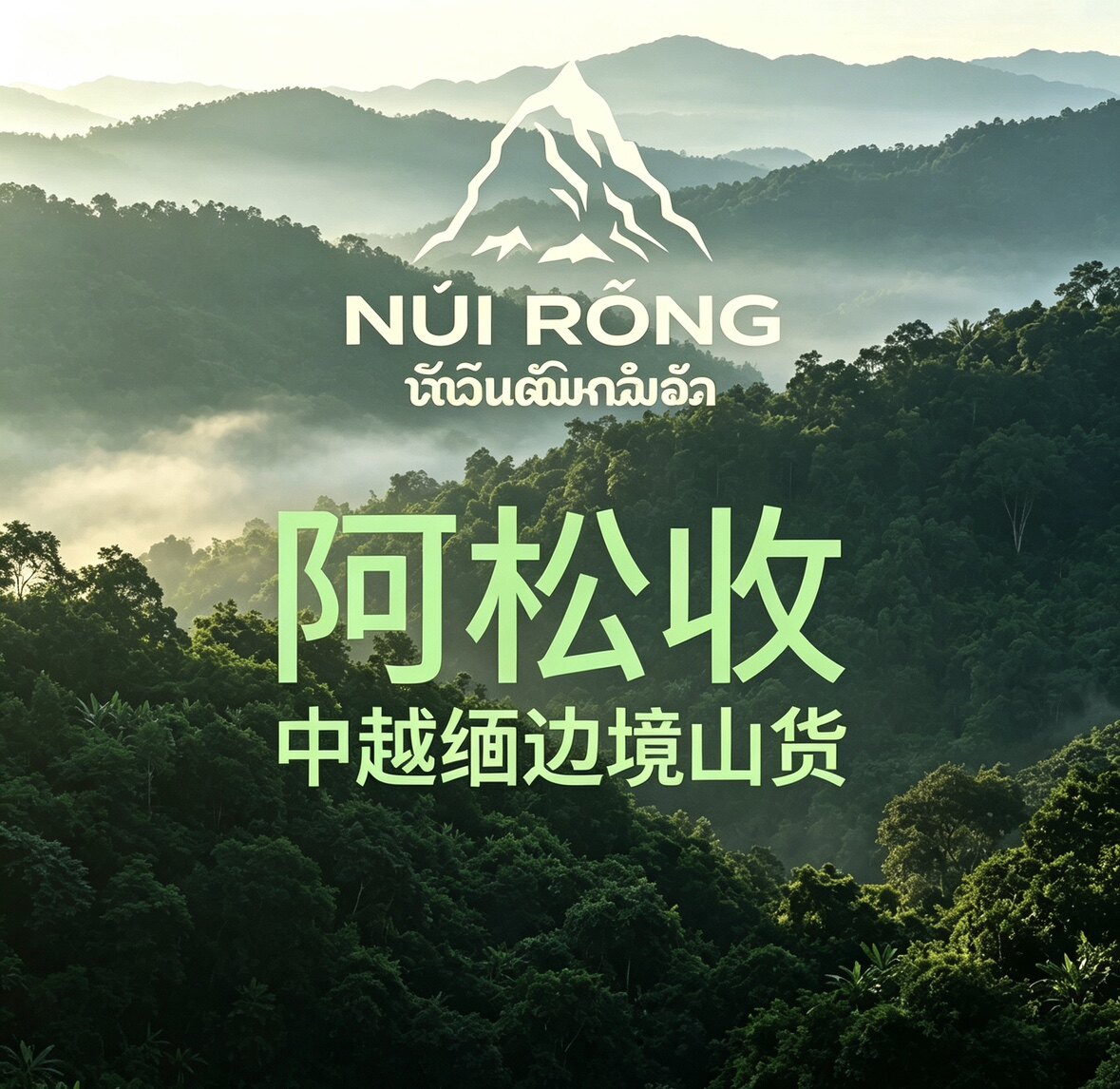 云南阿松收中越缅边境山货