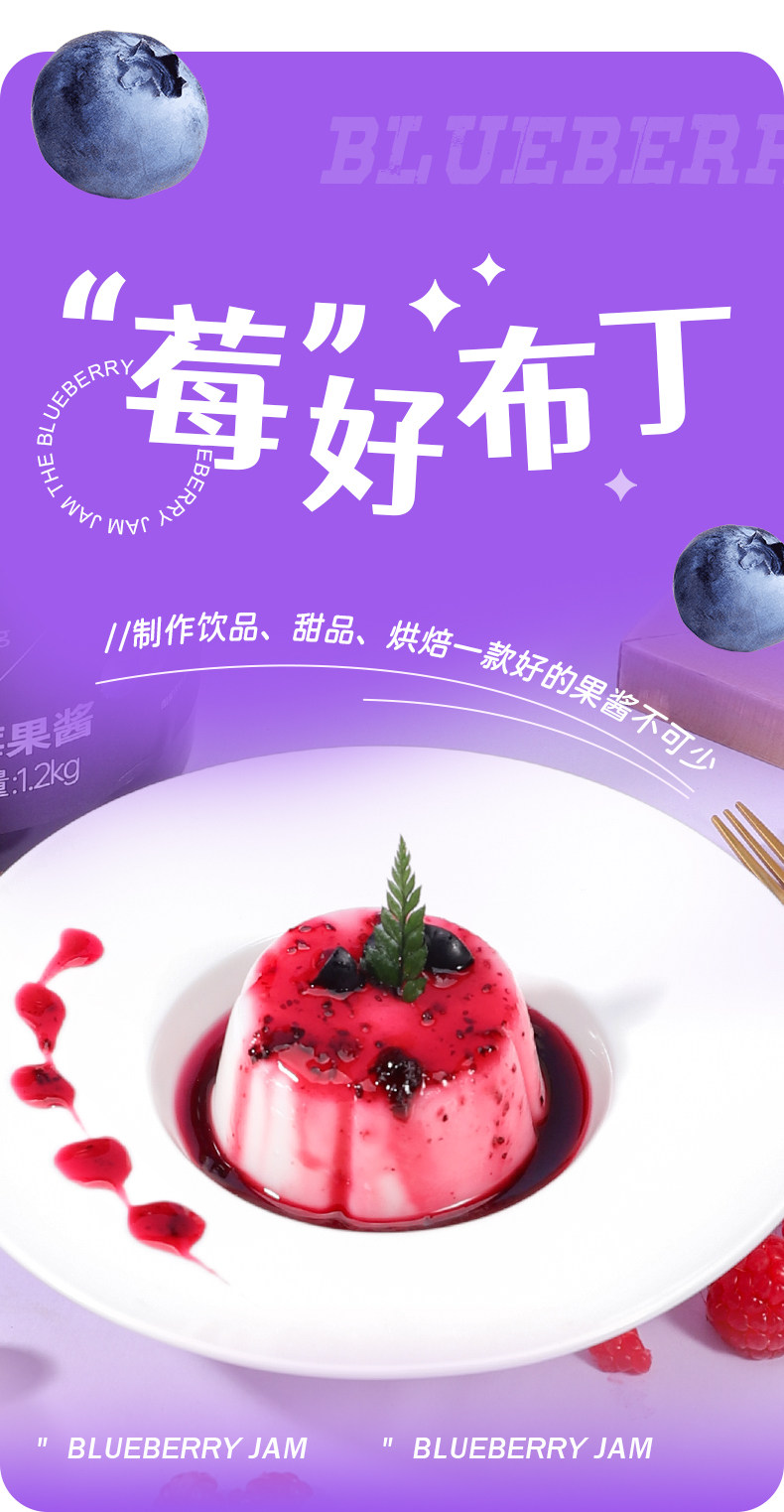 安享好物 安享E级果酱-盾皇蓝莓果酱 国标 