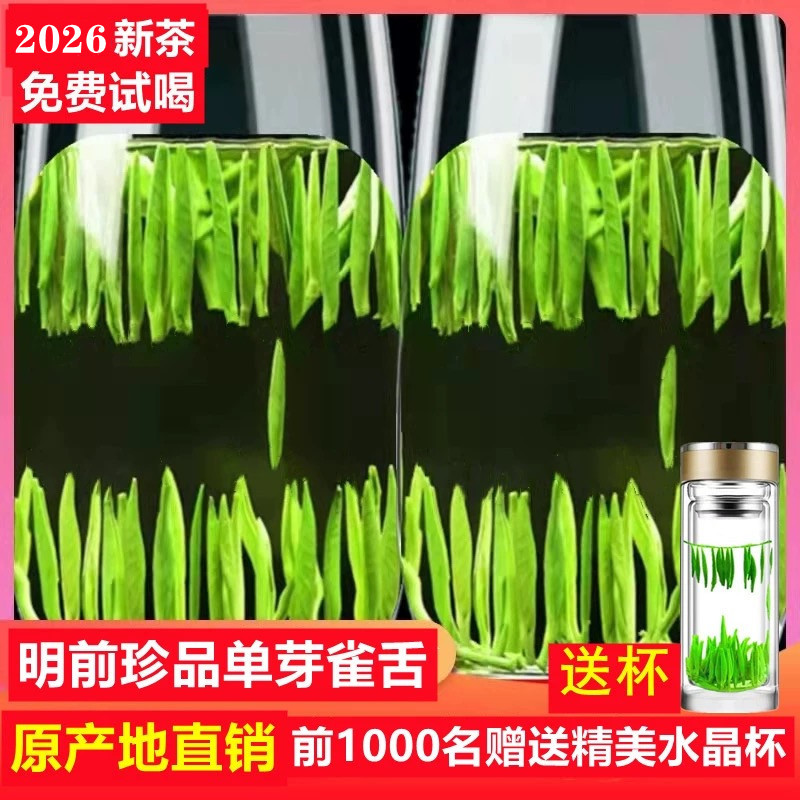2026 New Tea Que She 500g Tender Bud Maojian Green Tea Bamboo Leaf Roasted Green Tea Sichuan High Mountain Loose Leaf Tea