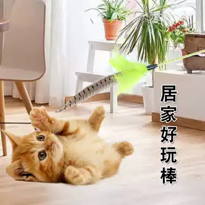 Cat toys, chicken feathers, colorful feathers, bells, cat sticks, self-Hi interactive pet toys supplies