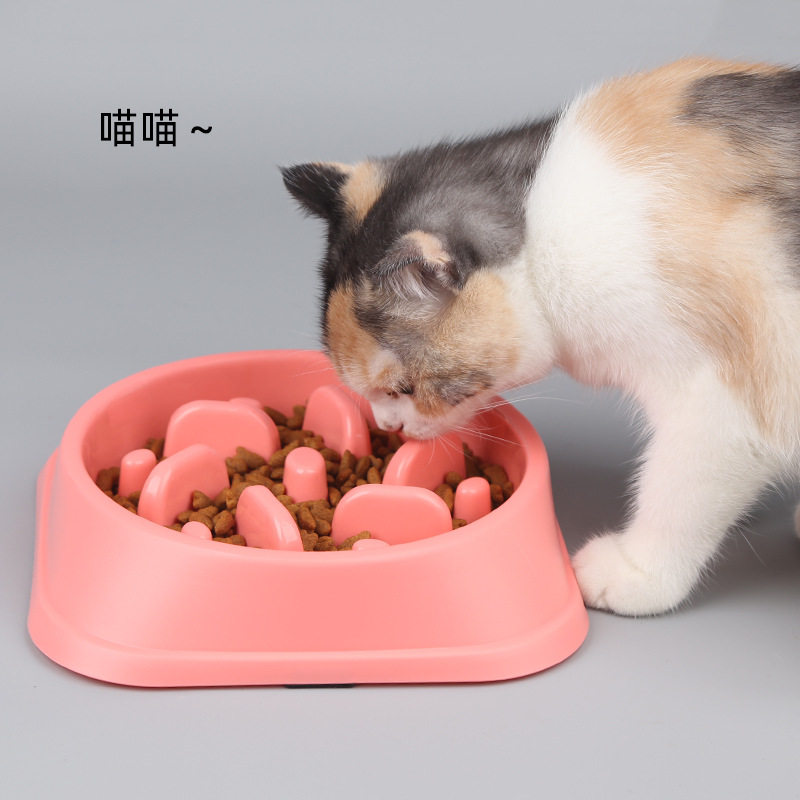 Meow Whale Amazon Cross-border Cat Dog Feeding Device Anti-Choke Plastic Dog Bowl Cat Bowl Slow Food Bowl