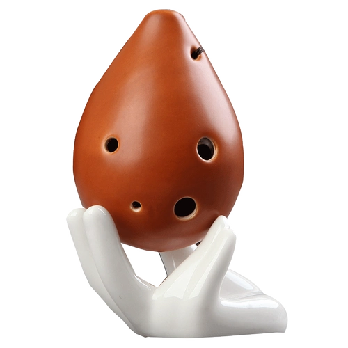 Tauo 6 -Kong Chu Xuexue Студент взрослый средний звук C Zero Foundation Professionals