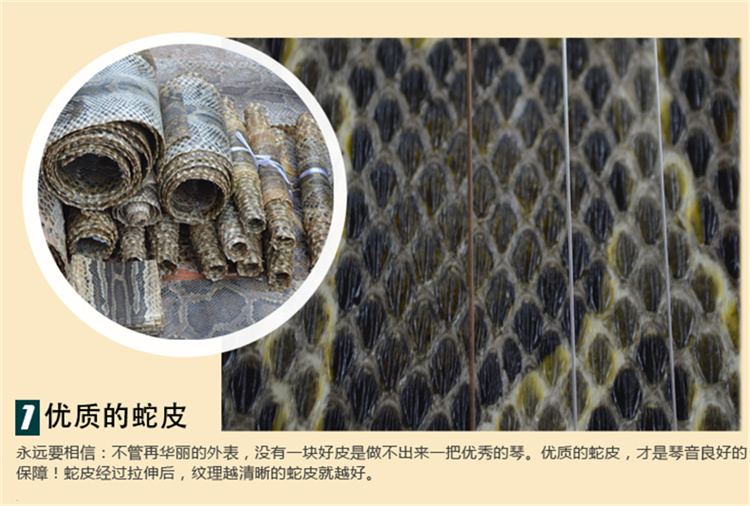 Nhạc cụ Qinqin tròn ba dây da trăn dân gian gảy nhạc cụ đệm nhạc cụ quốc gia phụ kiện đàn piano túi ba bí ẩn - Nhạc cụ dân tộc dan ti ba