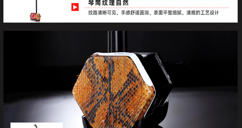 Erhu cụ mới bắt đầu thực hành sinh viên trưởng thành chuyên nghiệp chơi nhạc cụ rắn da rắn thủ công dan ti ba