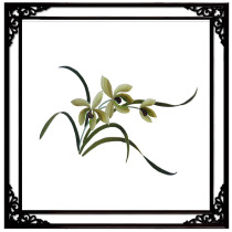 Su embroidery diy beginner kit embroidery all kinds of beautiful flowers and plants pattern Series 0 basic needle method tutorial