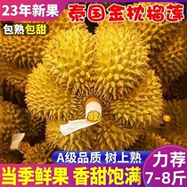 Тайская золотая подушка durian Shunfeng свежие фрукты 10 катушки Один цельный ящик с подставной пальмового мелкое дурианское мясо