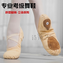 Poetry Peiyi dance shoes Womens soft-soled practice shoes Adult cat claw shoes Childrens girls body shoes Yoga ballet shoes