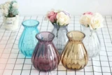 Ваза орнаментальная стеклянная ваза прозрачная гидропонная ваза гостиная Европа