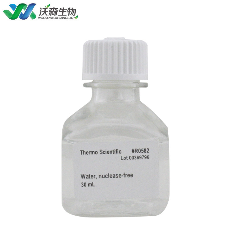 Æ æ ¸é¸é¶æ°´nuclease Free Water Ambion Am9930 Am9932 Ä»·æ ¼ Åå®¶ Ä¾åºå Æ­å·æ²æ£®çç©ææ¯æéå¬å¸ Ä¸é¦é