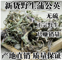 Dandelion Dandelion Tea Sundried Whole wild dandelion mother-in-law Ding 500 gr quality assurance