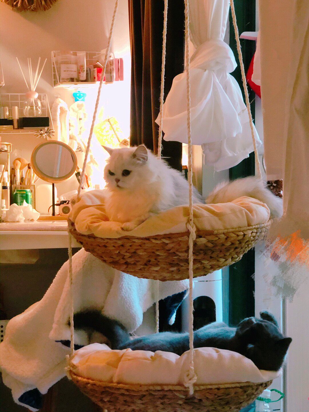 Rattan cat hammock cat nest cat house cat supplies furniture cat climbing frame cat jumping platform paradise toy natural hemp rope