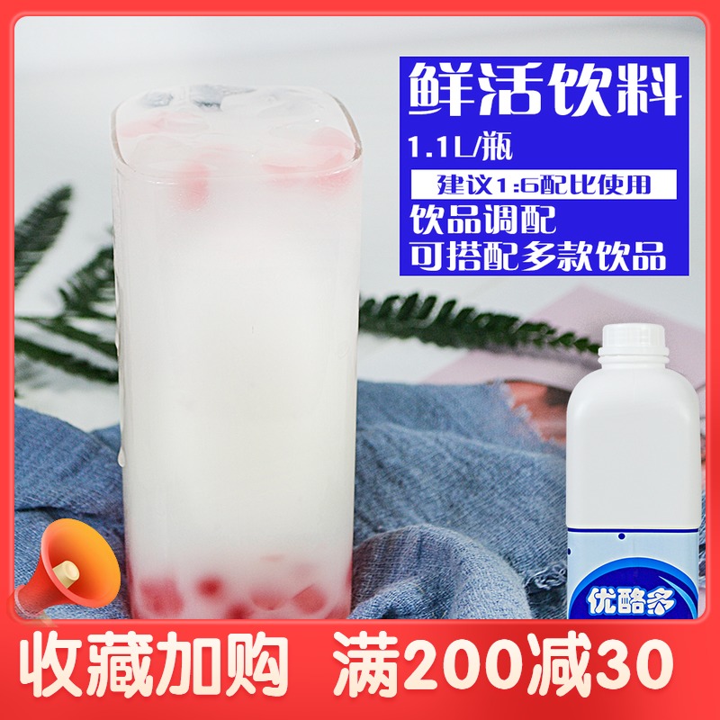 Fresh yogurt multi-concentrated lactic acid bacteria milk tea shop special original probiotic yogurt milk 1 1L