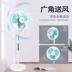 Quạt thương hiệu điện quạt sàn tầng ký túc xá hộ gia đình máy tính để bàn quạt đứng im lặng lắc đầu quạt công nghiệp loại sàn - Quạt điện