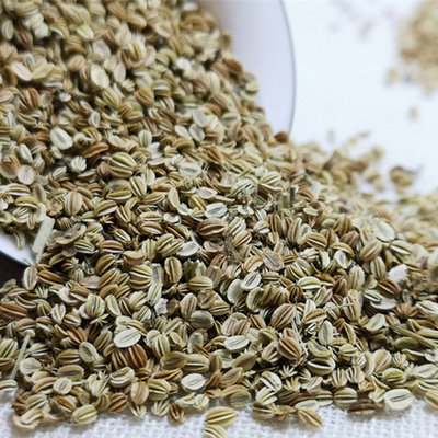 Chinese herbal medicine Cnidium 500g 2 pieces of snake rice snake bead Cnidium snake bed fruit double kidney and gall