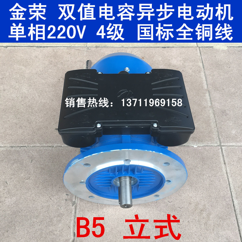 Gold Rong Double Value Capacitive Asynchronous Motor Single Phase 220V 4 Level YY6324 180W YL8024 YL8024 750W-Taobao