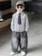 Boys' Suits, Spring and Autum Clothing, 2025 New Kidsren's Autum Sweater, Vest, Three-Piece Set, Baby's Handsome and Fashionable Kidsren's Clothing