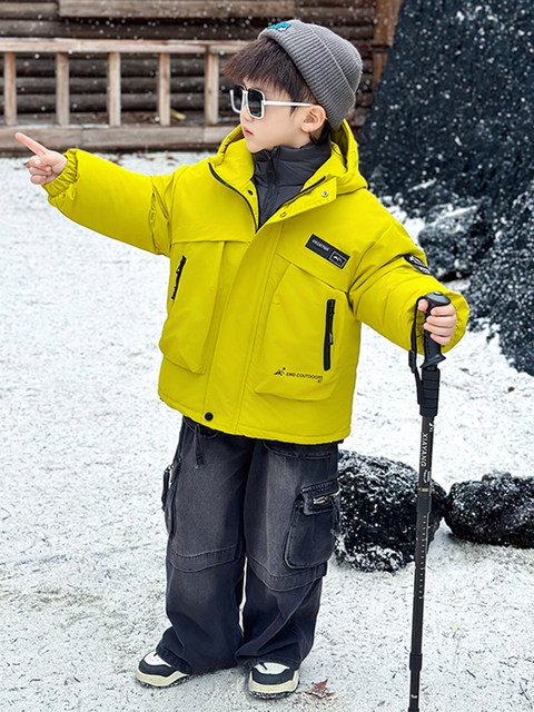 Boys' Autumn and Winter down Jacket Inner Liner Three-In-One Windbreaker Coat 2026 New Winter Children's Padded Clothing