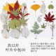 Aflute Green Green Leaf Bag 10