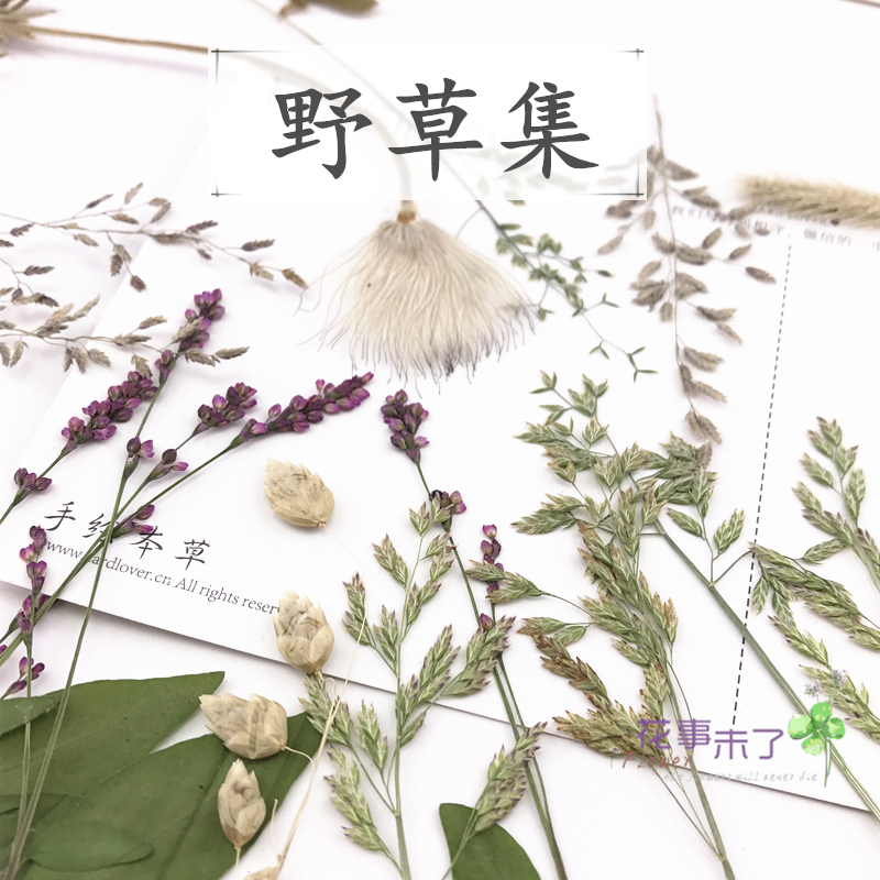 Wild Grass Set Natural Leaves Children DIY Handmade Greeting Cards Scented Lavender Wax Sheet Candle Dry Flower Photo Frame Flowers NOTHING