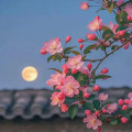 自然森林创意馆