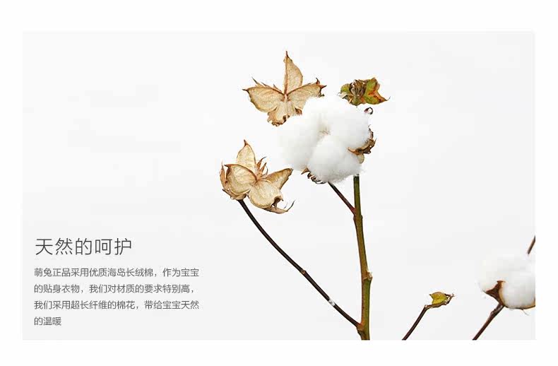 Chaussettes pour bébé - Ref 2109308 Image 9