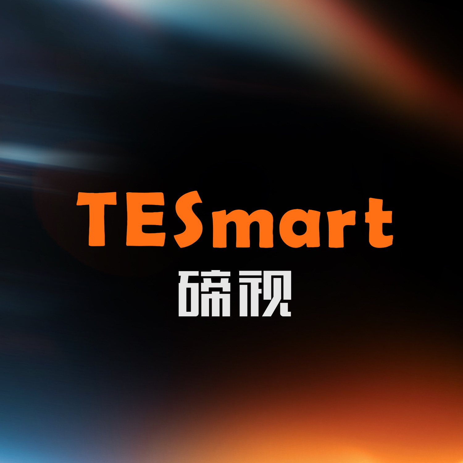 TESmart碲视企业店
