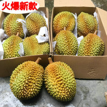 Simulation de faux fruits durian grand oreiller doré viande modèle en plastique mangoustan pitaya cantaloup fraise cerise pastèque