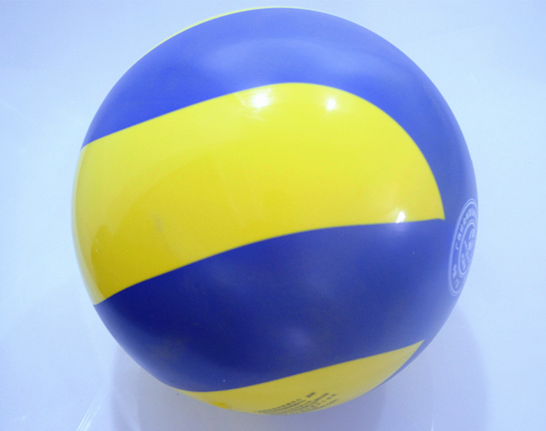 Ballon de volley - Ref 2008979 Image 9