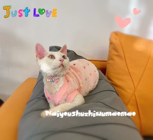 Крем - это безволосочный раковина, универсальная одежда для кошек, теплый бархатный жилет, бесплатная доставка