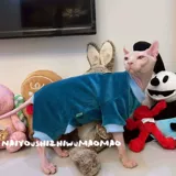 Крем -это безволосочное платье с четырьмя футболами, чтобы держать одежду для животных домашних животных без котенка бесплатной доставки