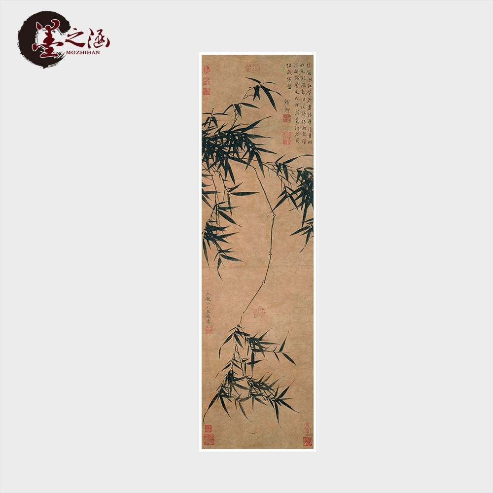 O1CN01xBy5kd1fE8jW4N7Hr_!!