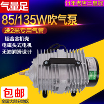 135W85W Commercial roast duck goose chicken blowing pump Air compressor Fish pond aerator Balloon inflatable pump