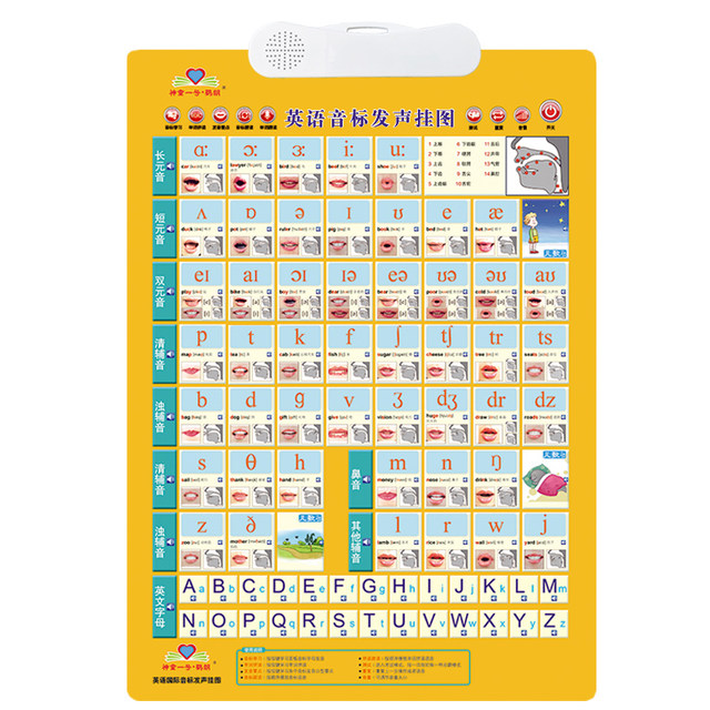 48 English International Phonetic Symbols pronunciation audio charts for the primary school students, phonetic symbols learning tools and natural phonetics wall charts