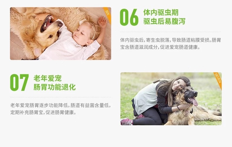 Sushi Cat Thú cưng nhỏ Ruột thú cưng Probiotic Chó và ruột Điều hòa ruột 5g * 10 Gói - Cat / Dog Health bổ sung sữa cho chó tốt nhất	