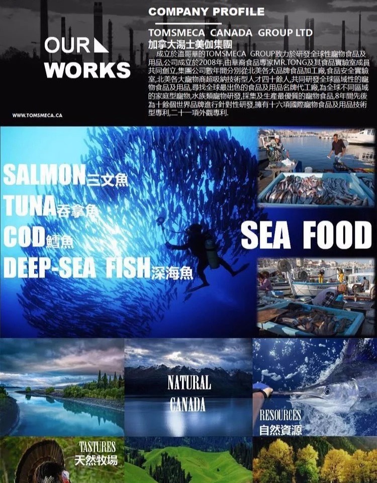 Sushi Cat Canada Tonbe Male Cat Công thức tăng trưởng Thực phẩm Thử nghiệm số lượng lớn Gói thức ăn cho mèo royal canin cho mèo con