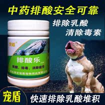 Biter dog training for acid removal from lactic acid elimination Fatigue Grippy Dog Racing Dog Track Dog Sports Platoon Acid