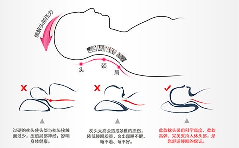 Gối gối lõi bông chính hãng nhung lông nhung người lớn gối đơn giúp ngủ sinh viên gối đặc biệt gối cao su non babymoov