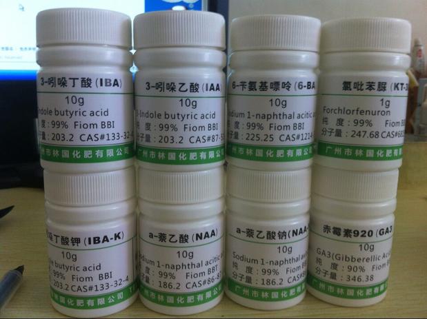Dụng cụ làm vườn Axit 3-Indoleacetic (IAA) Cắt bột rễ Nuôi cấy mô Thuốc điều hòa sinh trưởng thực vật bình xịt tưới cây mini