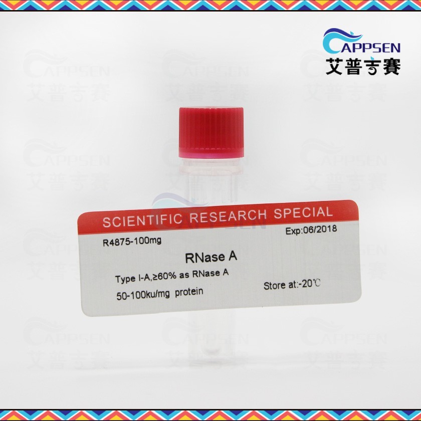 Biotopped 核糖核酸酶A Rnase A  BR级 CAS：9001-99-4