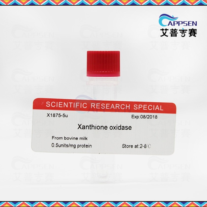 Biotopped 黄嘌呤氧化酶 Xanthione oxidase BR级 CAS:9002-17-9