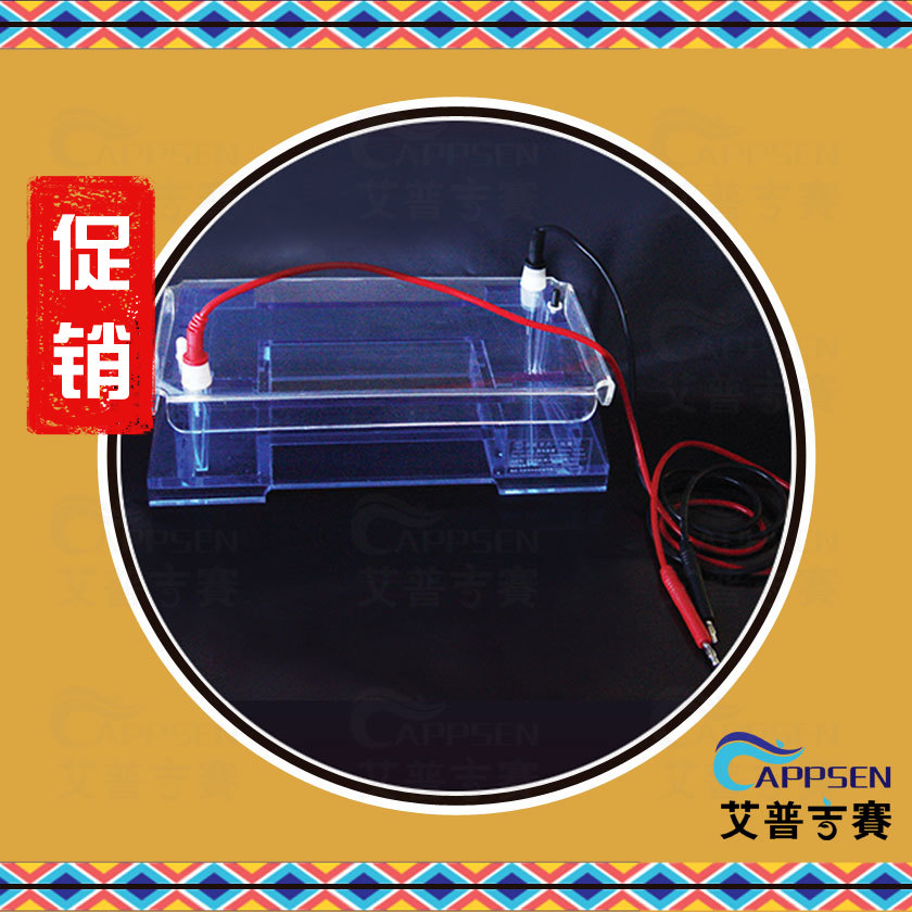 北京六一 DYCP-32A 琼脂糖水平电泳仪(中号)1223210