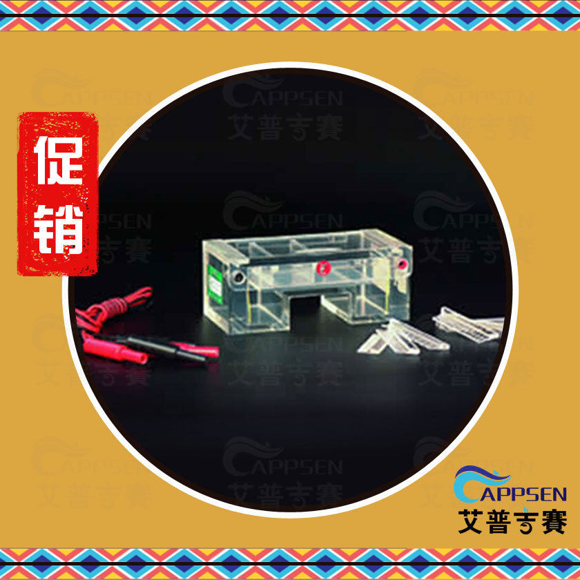 北京六一 DYCP-31C 琼脂糖水平电泳槽 1223130