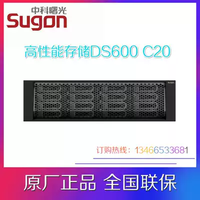 Sugon DS600-C20 high end single control double cut four control NAS storage 8G 16GFC 2U rack